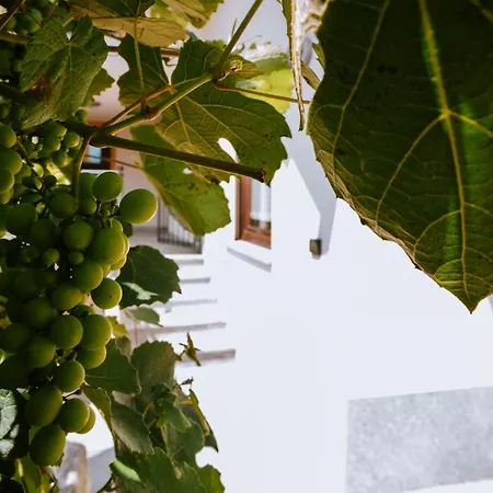 Aosta - La Plantaz *